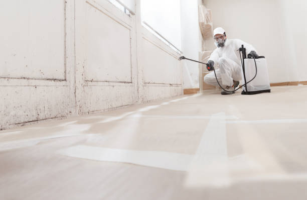 24/7 Emergency Mold Remediation experts in West Orange, NJ